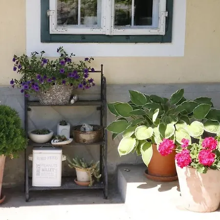 Apartment Modernes In Altem Aflenz Kurort