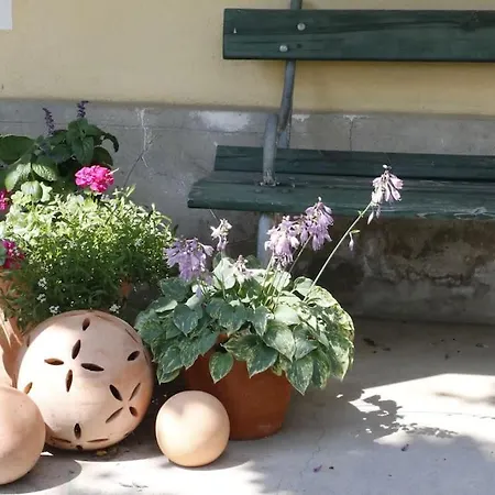 Modernes In Altem Апартаменты
