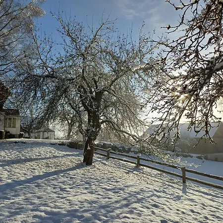 Modernes In Altem Apartman Aflenz Kurort