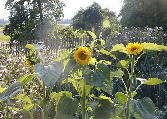 Modernes In Altem شقة